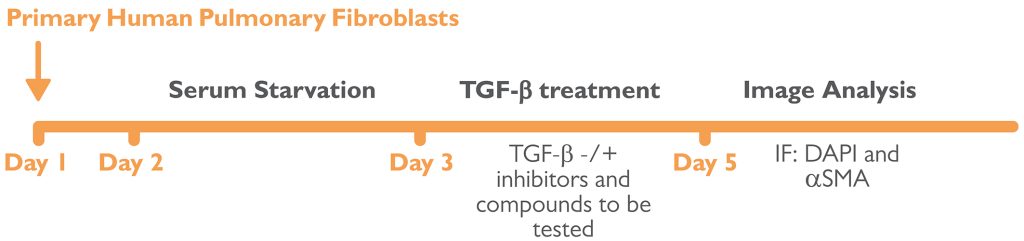 Pulmonary Fibrosis Assay