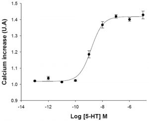 HiTSeeker 5-HT2C Serotonin Receptor Cell Line