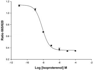HiTSeeker beta-2 adrenergic receptor Cell Line