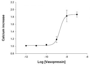 HiTSeeker AVPR1A Cell Line
