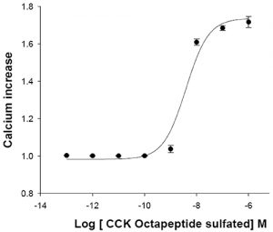 HiTSeeker Cholecystokinin B receptor Cell Line