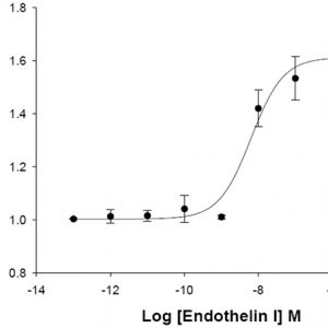 HiTSeeker ETB Endothelin Receptor Cell Line