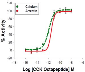 CCK2 Cholecystokinin Receptor Cell Line