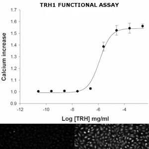 Thyrotropin-releasing Hormone Receptor Assay