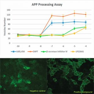 APP Processing Assay