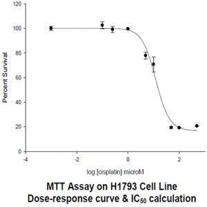 Tumor Cell Proliferation Assay
