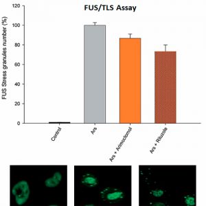FUS/TLS Stress Granules Assay