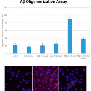 Amyloid-beta peptide Oligomerization Assay