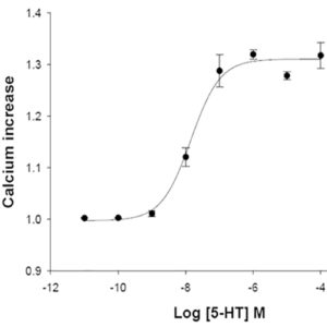 5-HT2A Serotonin Receptor Assay