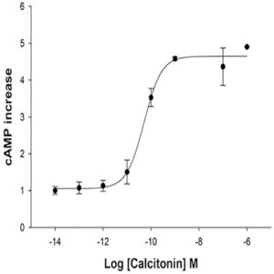 Calcitonin Receptor Assay