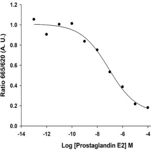 EP2 Prostanoid Receptor Assay