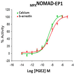 <sub>MPX</sub>NOMAD EP1 Prostanoid Receptor Cell Line