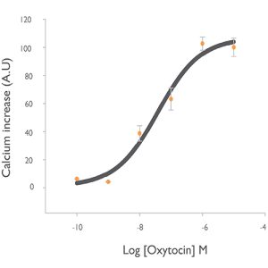 HiTSeeker OXTR Cell Line