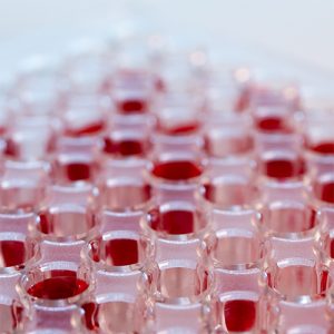 Cell Adhesion Reagents
