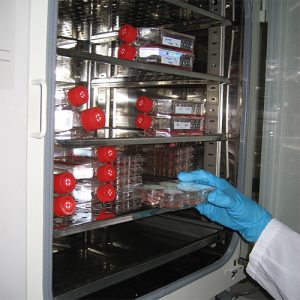 Cell Culture Reagents and kits