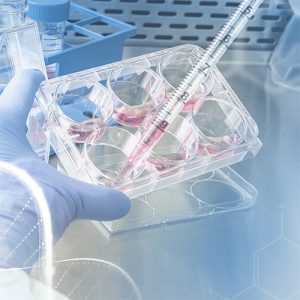 Subculturing Reagents