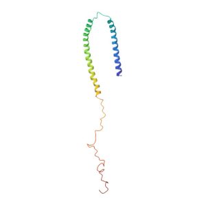 Recombinant Proteins