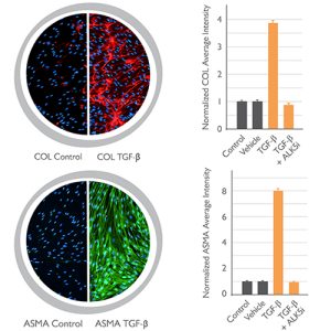 Skin Fibrosis Assay